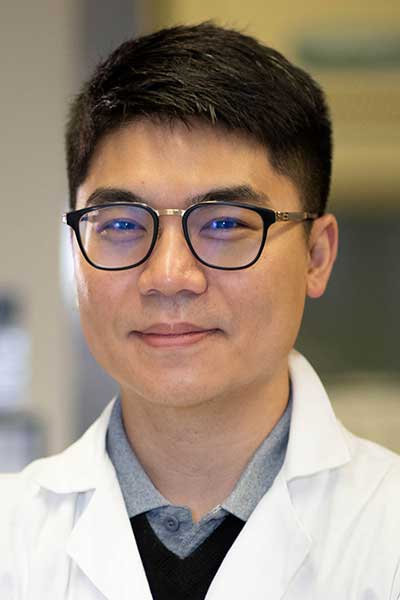 Calvin Law, PhD